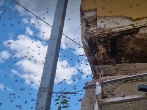LOVAC NA ZMIJE UŠAO U KUĆU I SNIMIO SCENU IZ NOĆNE MORE: 'Borim se kao lav'