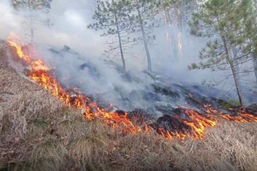 GORI ŠUMA U KLADNJU: Buknuo požar na osam hektara, vjetar otežava gašenje – mehanizacija i vatrogasci DANIMA U BORBI SA VATRENOM STIHIJOM