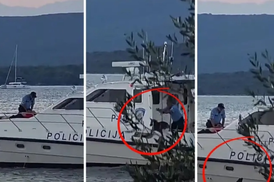 SNIMKA PSA U MORU DIGLA HRVATSKU NA NOGE: Policija promijenila priču, svjedoci otkrili šta se događalo