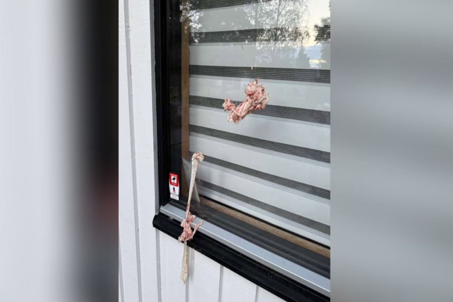 INCIDENT U ŠVEDSKOJ: Nepoznate osobe bacale slaninu na bošnjačku džamiju