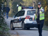 TRAGIČAN SLUČAJ KOD BOSANSKOG GRAHOVA: Muškarac poginuo tokom sječe drva
