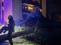 SNAŽNO NEVRIJEME POHARALO SLOVENIJU: Grom ubio muškarca ispod drveta, potop na ulicama, meteorolozi upozoravaju na još snažnije oluje