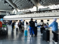 SMRT NA AERODROMU: Komarac stigao avionom, šest radnika zaraženo malarijom