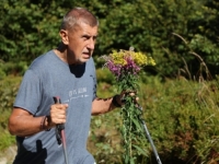 BABIŠ U NEOBRANOM GROŽĐU: Ubrao cvijeće u zaštićenom području pa se odmah izvinio (VIDEO)