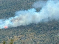 ALARM NA ZAPADU I JUGU BiH: Bukte požari u Bihaću, Cazinu, Nevesinju i Grudama, vatrogasci i vojska na granici izdržljivost