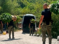 VELIKA AKCIJA FUP-a U HERCEGOVINI: Pogledajte šta je pronađeno na 12 plantaža (FOTO)