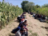 AKCIJA NA GRANICI BIH I HRVATSKE: Dron otkrio veliku grupu migranta,  61 osoba pronađena u  kod...
