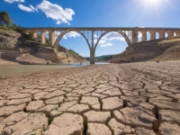 NAUČNICI UPOZORAVAJU: Klimatske promjene izazvane ljudskim djelovanjem dovele su ovoga ljeta do masovnog širenja...