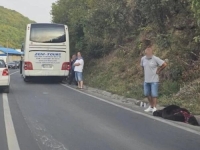NESVAKIDAŠNJI PRIZOR NA CESTI: Autobus udario medvjeda na magistralnoj cesti M-5