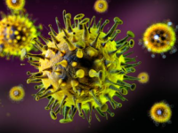 OPASNOST U BH. SUSJEDSTVU: U Beogradu otkriven virus za koji ne postoji lijek ni vakcina