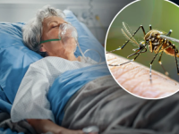 ŠIRI SE OPASNA ZARAZA U BH. SUSJEDSTVU: Može ostaviti trajne neurološke posljedice, evo koji su prvi simptomi