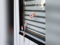 INCIDENT U ŠVEDSKOJ: Nepoznate osobe bacale slaninu na bošnjačku džamiju