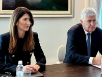 POGLEDAJTE ČEGA SE ČOVIĆEV HDZ DOSJETIO: Darijana Filipović dobila armiju lažnih pratilaca iz...