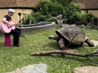 KONCERT ZA STOGODIŠNJAKA: Pogledajte neobičan susret francuskog muzičara i kornjače u zoo vrtu (VIDEO)