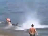 DRAMA NA POZNATOJ PLAŽI: Iznenada se pojavila u plićaku iza kupača, pogledajte kako je sve završilo...