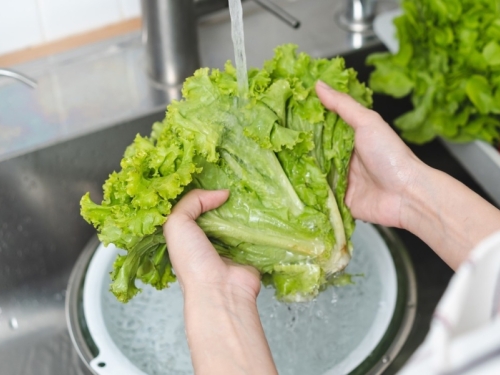 ZELENA SALATA BOGATA JE VITAMINIMA I ANTIOKSIDANSIMA: Može pomoći i hidrataciji