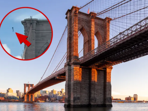 ŠOKANTAN VIDEO IZ NEW YORKA: Go muškarac skočio s vrha Bruklinskog mosta i preživio nemoguće