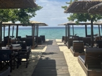UŽAS NA PLAŽI U POZNATOM TURISTIČKOM MJESTU: Turisti uznemireni, kamera snimila OPASNU ŽIVOTINJU (VIDEO)
