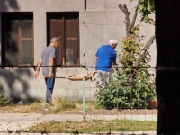 ZAČUĐUJUĆI PRIZORI ZABILJEŽENI U BOTANIČKOJ BAŠTI ZEMALJSKOG MUZEJA BiH: Radnici okretali prase na ražnju