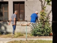 AUSTRIJSKI MEDIJI O PRASETU U VRTU ZEMALJSKOG MUZEJA: 'Iza svega stoji višegodišnji sukob'