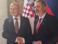 HRVATSKA I SLOVENIJA OSUDILE DOČEK MLADIĆA: 'Glorificiranje ratnog zločinca produbljuje podjele'