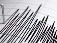 'BOME JE DRMNULO': Zemljotres pogodio dio BiH, epicentar 14 kilometara od...