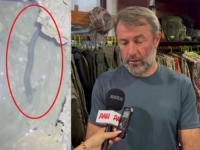 BAHRUDIN U DVORIŠTU IMA ČUDNO ZMIJOLIKO STVORENJE VEĆ 35 GODINA: Otkrio kako je preživjela u mraku (VIDEO)