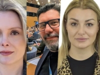 VELIKI USPJEH POLITIČARA PORIJEKLOM IZ BiH: Čak troje Bošnjaka u novom sazivu švedskog parlamenta