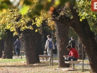 DANAS JE PRVI DAN JESENI: Sunce će se početi spuštati ispod linije nebeskog ekvatora...