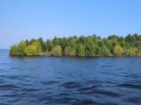 MISTERIJA USRED JEZERA: Kako se otok sa živim drvećem pojavio niotkud? (VIDEO)