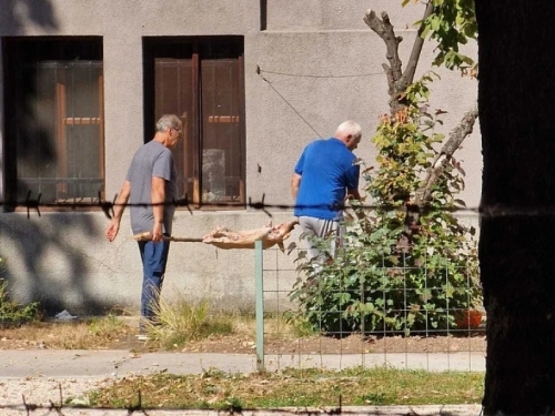 NAKON ŠTO SU PEKLI PRASE, OGLASIO SE ZEMALJSKI MUZEJ BiH: Otkrili sa kim imaju posla, uputili apel Kantonu Sarajevo i Općini Centar