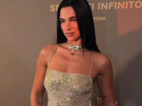 DUA LIPA ZASJENILA SVE NA ZABAVI U NEW YORKU: Njezin outfit skriva jedan poseban detalj