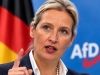AFD SPREMA RADIKALNE PROMJENE U EU: Objavljeni detalji plana koji bi mogao promijeniti sve…