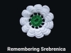 PRVI PUT U SUSJEDSTVU: Izložba 'Cvijet Srebrenice' Mensura Bektića premijerno u...