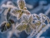 PRIPREMITE TOPLIJU ODJEĆU: Meteorolozi objavili prognozu za naredne dane, u ovim dijelovima BiH temperature padaju ispod nule
