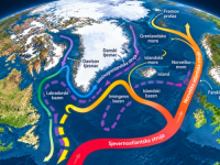 EUROPI PRIJETI KLIMATSKA NOĆNA MORA: Zime bi mogle postati brutalne!