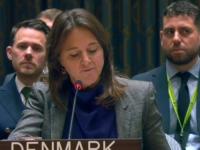 OŠTRA PORUKA IZ VIJEĆA SIGURNOSTI UN-a: Danska osudila Dodikovu politiku, veličanje Mladića i udare na institucije BiH...