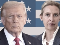 VELIKI SKANDAL NAKON HAKERSKOG NAPADA: Procurile poruke koje otkrivaju kako je AfD godinama tražio podršku Trumpa i njegovog kruga