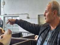 OD NORVEŠKE - DO RODNOG KOZARCA: Farma Jusufa Arifagića između velikih planova i neizvjesne budućnosti...