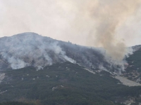 NIJE DOBRO: Požar na bh. planini se širi podzemnim žilama, vatrogasci na terenu...