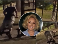 LEPA BRENA SNIMLJENA U SITNIM SATIMA U JAVNOM PARKU: Prolaznici nisu vjerovali šta radi iza svoje vile... (FOTO)