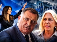 PROFESOR USTAVNOG PRAVA DAVOR TRLIN: Sve što trebate znati o pomilovanju Milorada Dodika i Čovićevom 'legitimnom predstavljanju' i izmjenama Itbornog zakona BiH...