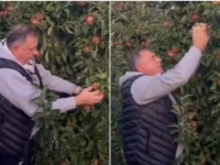 'A I JABUKE SU RODILE': Milorad Dodik se OGLASIO IZ SVOG VOĆNJAKA, poslao dvosmislenu poruku (VIDEO)