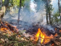 TRAGEDIJA U TUZLI: Jedna osoba smrtno stradala u požaru niskog rastinja