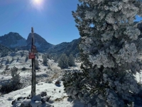 STIŽE ZIMSKI SCENARIJ KOJEG SE MNOGI PLAŠE: Nova prognoza za Evropu otkriva šta čeka Balkan, evo šta kažu meteorolozi...