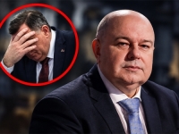 PROFESOR MILAN BLAGOJEVIĆ ZA 'SB': Kako je stvoreno Vijeće naroda Republike Srpske..