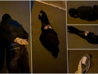 SA FANTOMKAMA I MOLOTOVLJEVIM KOKTELOM NA RESTORAN: Policija spriječila novi napad, među uhapšenima i maloljetnici...