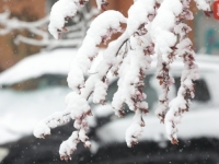 KLIMATSKI PREOKRET NA POMOLU: Znači li pakleno vruće ljeto ledenu zimu?