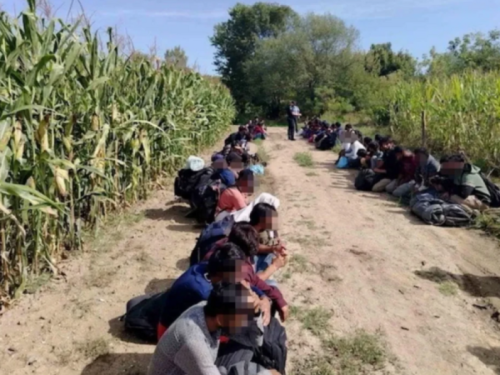 BROJ MIGRANATA PORASTAO ZA 66 POSTO: Nezakoniti prelasci bh. granice veći za 76 posto