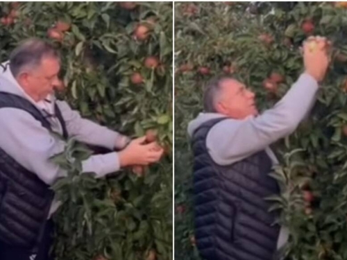 'A I JABUKE SU RODILE': Milorad Dodik se OGLASIO IZ SVOG VOĆNJAKA, poslao dvosmislenu poruku (VIDEO)